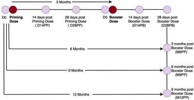 Seroprevalence and durability of antibody responses to AstraZeneca vaccination in Ugandans with prior mild or asymptomatic COVID-19: implications for vaccine policy